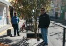 SIMAPARG realiza mantenimiento de arbolado en la calle Hidalgo para mejorar el entorno urbano