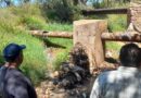 SIMAPARG coordina acciones para atender avería en línea de drenaje