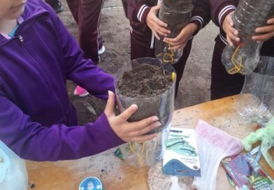 SIMAPARG promueve el cuidado del agua con taller de hidroponía en escuela primaria